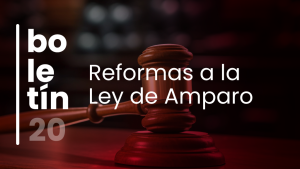 Ley de Amparo: Se reforman y derogan diversas disposiciones