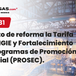 Reforma TIGIE 2026: cambios en IGI y PROSEC clave